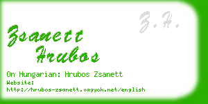 zsanett hrubos business card